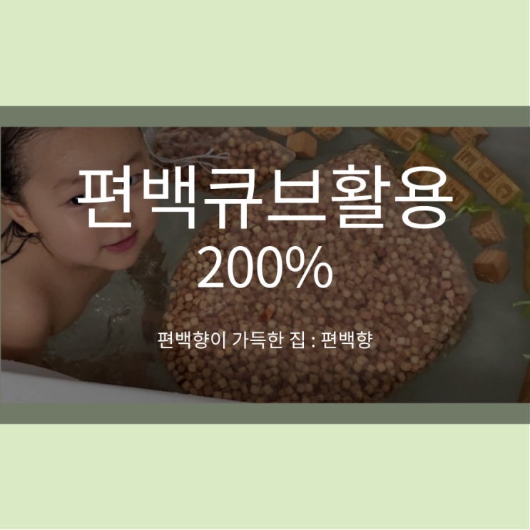  편백큐브 활용 BEST 가장 실용적이야