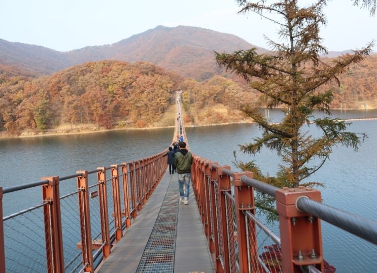  서울근교 애견동반 파주 마장호수 출렁다리 강아지 산책 코스