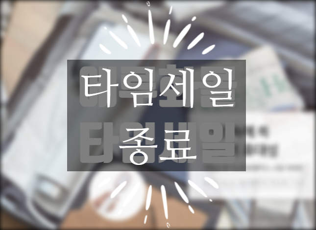  에루화몰 타임세일! 핸디형 스팀 다리미 ~11/24까지!