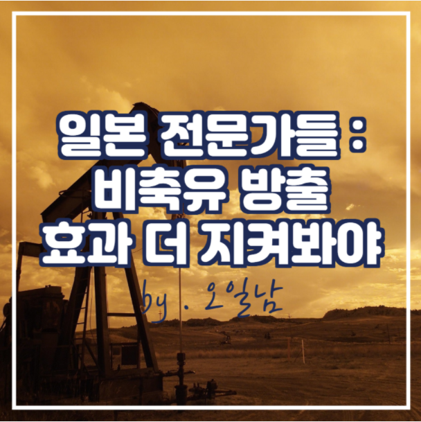  일본 전문가들 : 비축유 방출 효과 더 지켜봐야
