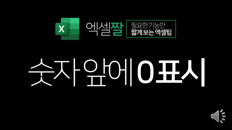  엑셀짤 | 전화번호와 같이 0으로 시작하는 숫자 표시(셀 서식 옵션)