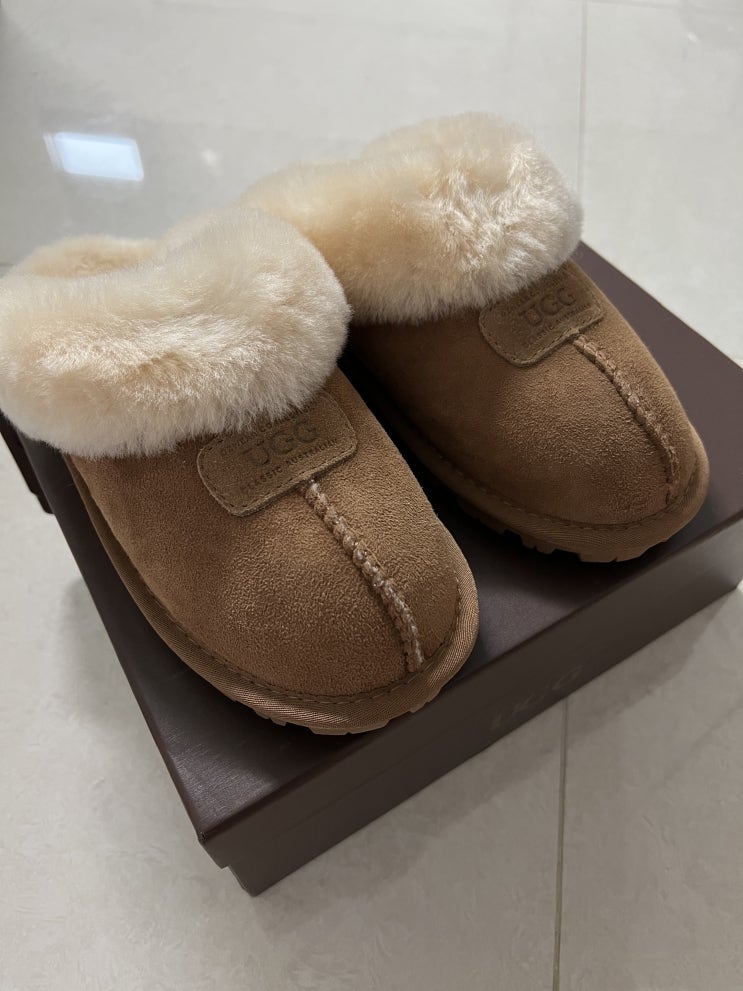  [어그 슬리퍼 체스트넛] 어그(UGG) 슬리퍼 (7,8 사이즈 팁) #내돈내산