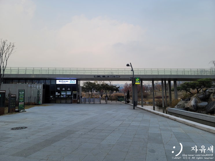 서울 마곡 식물원 온실과 주제원 주차장 요금과 주차방법