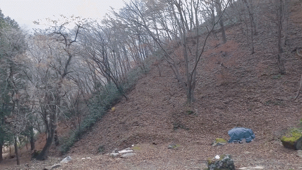  송광사 인월암에 계신 원순스님을 뵙고 왔습니다.