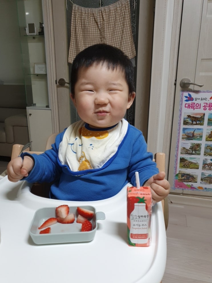  생후482일 :: 포크로 딸기 먹어요