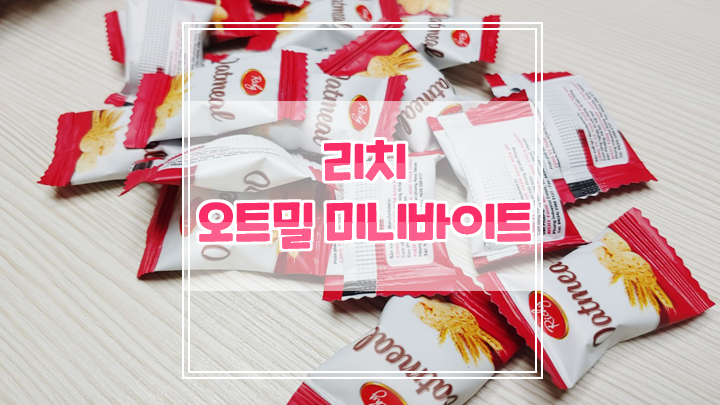  중독성있는 리치 오트밀 미니바이트 내돈내산 후기