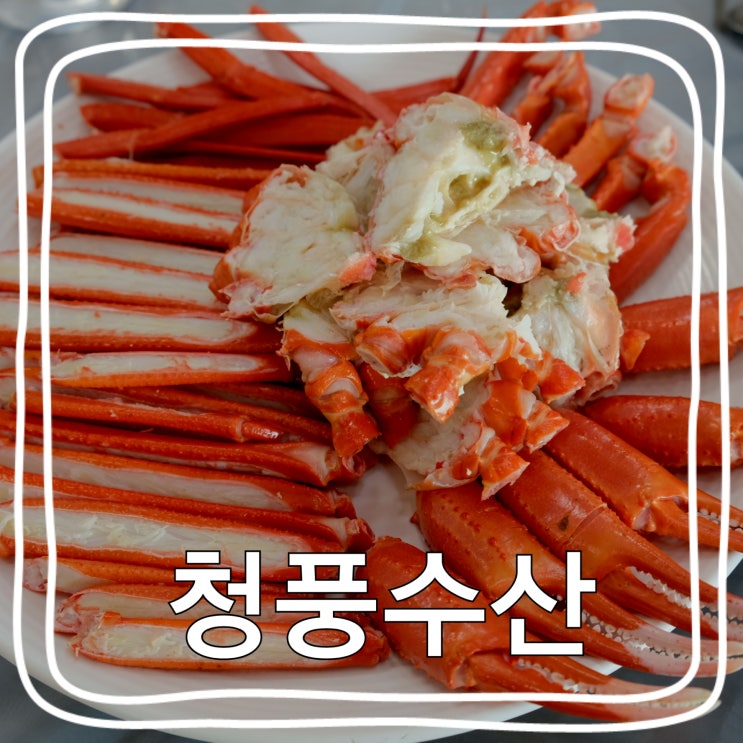  [후포 맛집] 울진살이 2년만에 발견한 찐 로컬 울진대게/물회 맛집 "청풍수산"