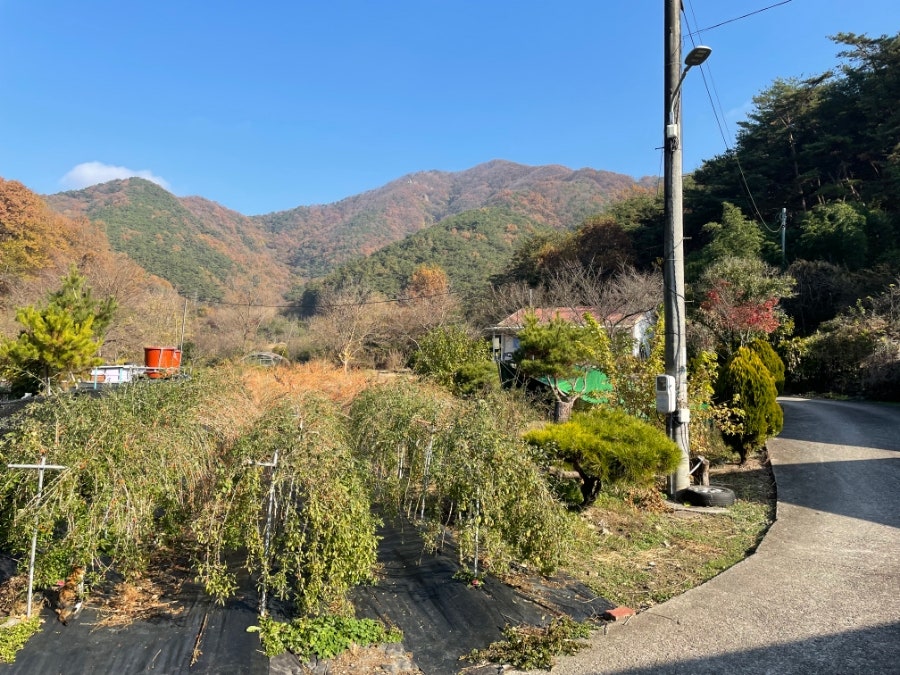 수래바위산 사진 6
