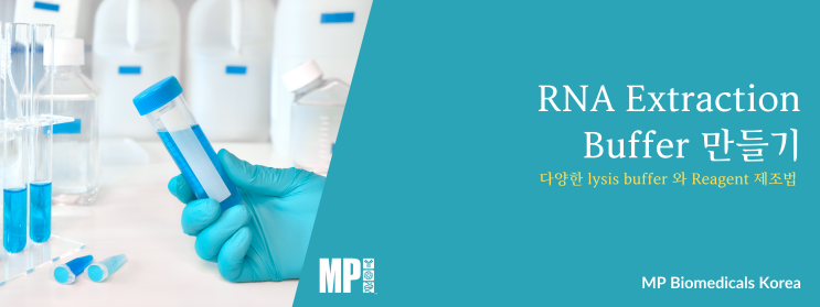  RNA Extraction Buffer 만드는 방법