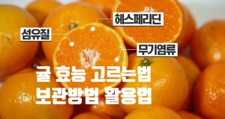 귤 효능 영양성분 (ft. 고르는 법 보관 방법 귤청 만들기 요리 활용법) 껍질째 익혀 먹어도 좋아요