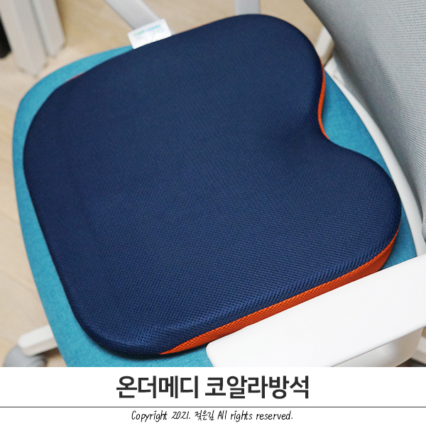 엉덩이방석 바른자세방석 온더메디 코알라방석 사용후기 엉덩이방석 바른자세방석 온더메디 코알라방석 사용후기