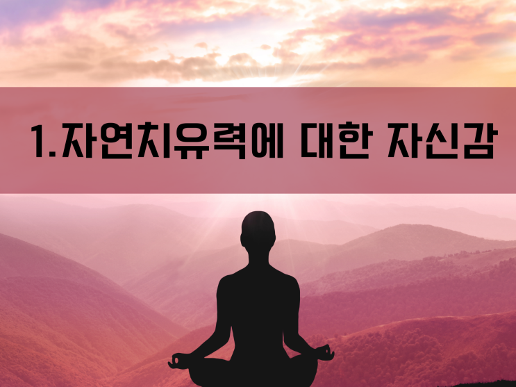  피엔(PN)효소 무료체험 방법