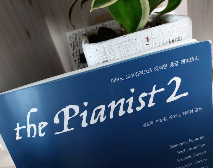 <클래식> 하이든 피아노 소나타 C Major Hob.16~35,1악장 <클래식> 하이든 피아노 소나타 C Major Hob.16~35,1악장
