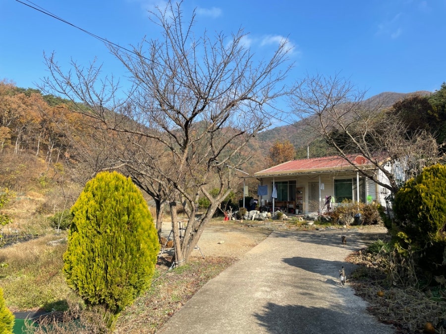 수래바위산 사진 5
