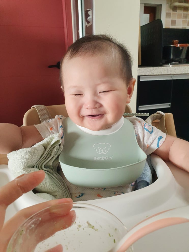  [이유식 중기] 213일 베이비무브로 불린 쌀 넣어서 만드는 닭안심시금치죽과 닭안심시금치양파죽