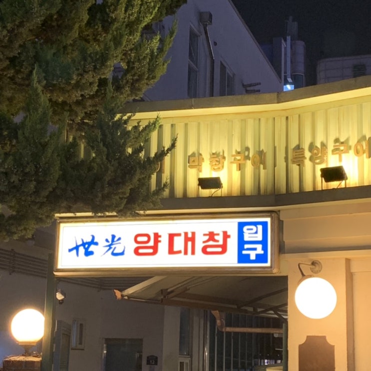 [야탑] 세광양대창 야탑점 / 할머니집 분위기 / 찐레트로 감성