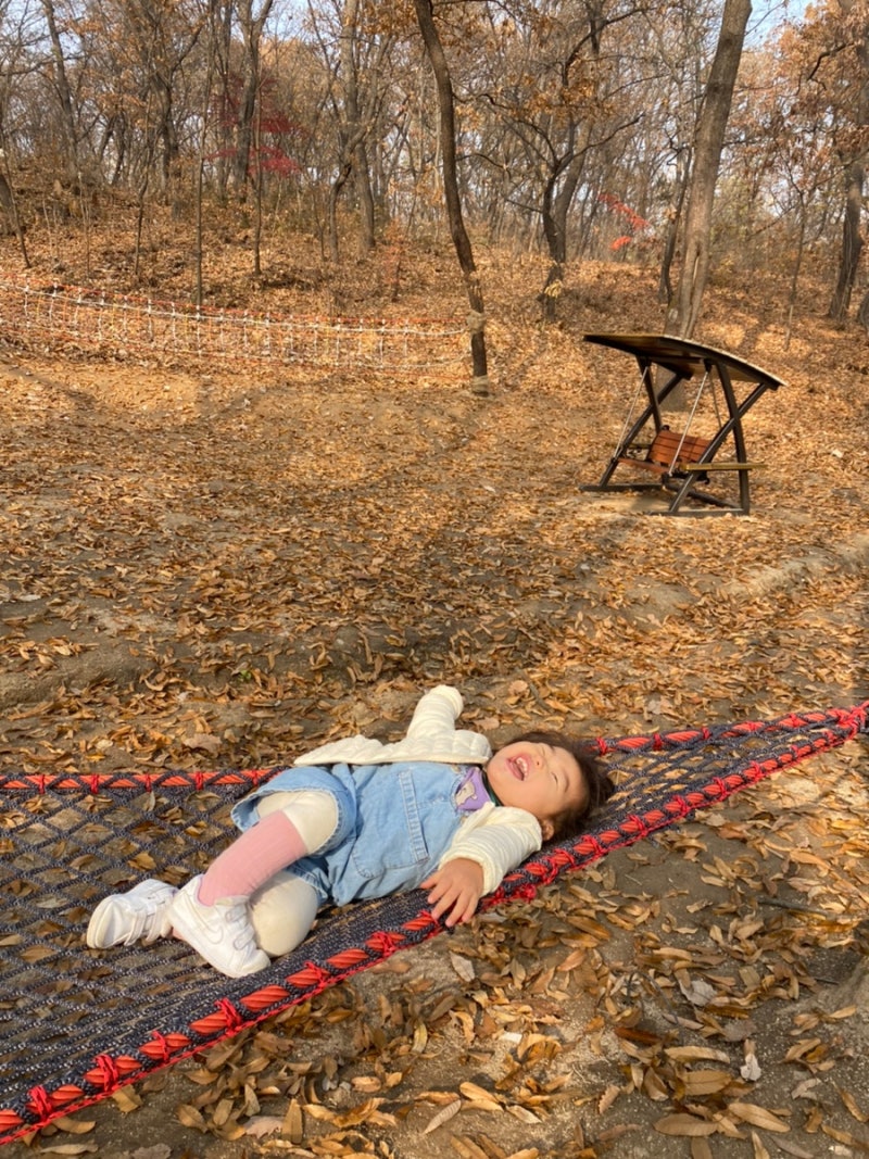 남양주 숲놀이터 진접 유아숲체험원 , 별내 별똥별 숲놀이터