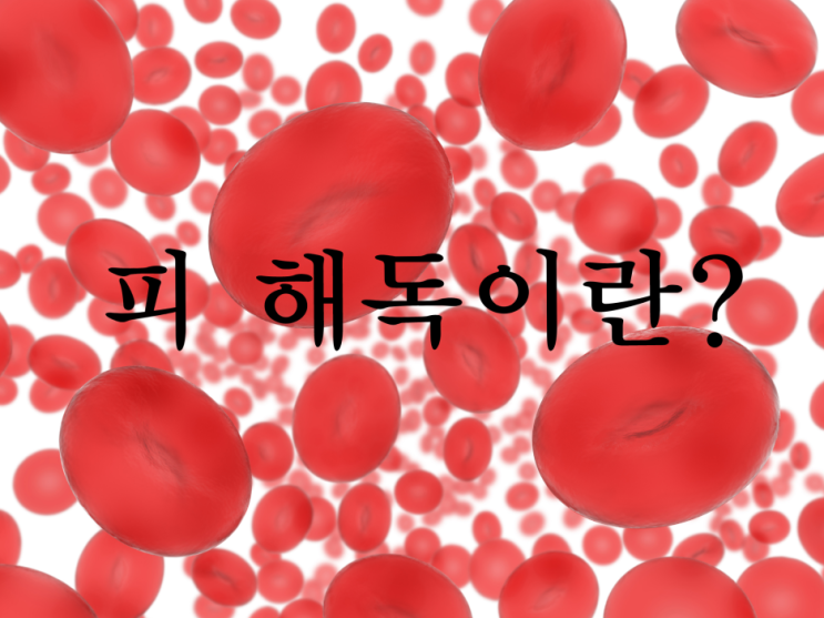  피 해독, PN[피엔]효소는요?