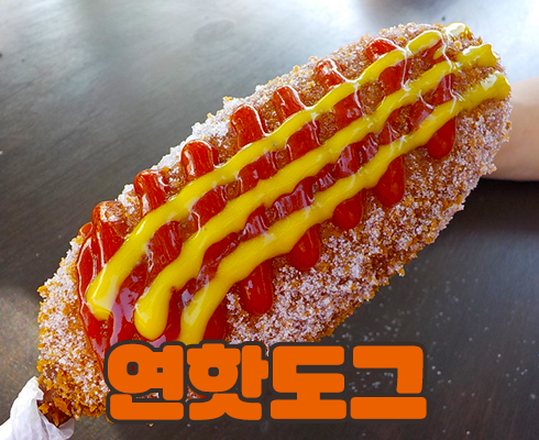  각지역의 특색이 살이 있는 여행가면 먹어볼만할 지역빵 