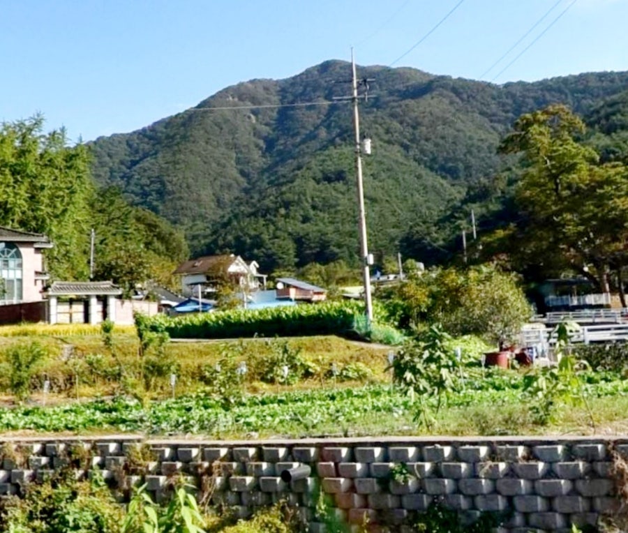 수래바위산 사진 4