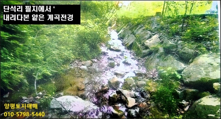 [ 양평토지매매 ] 저수지인근 공기좋고 물좋은 4층이하 건축가능 , 전원주택 집지을땅 , 펜션부지 양평땅값 30만원대