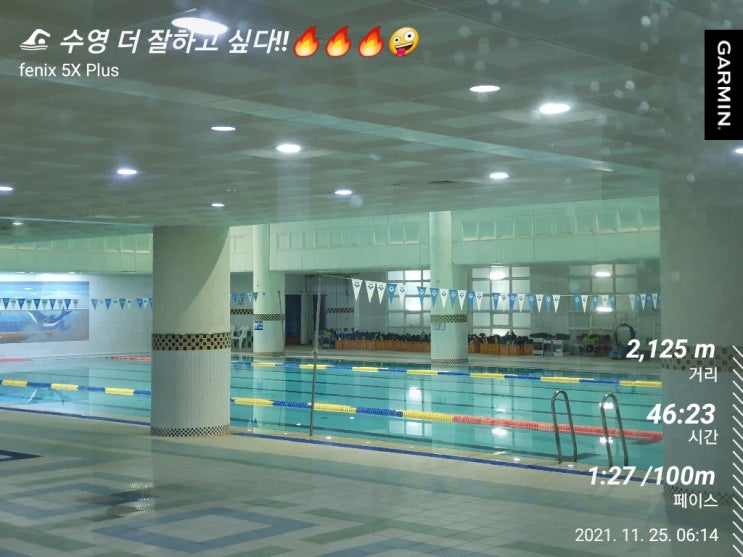  [수영일기] 11월 25일 접배평자