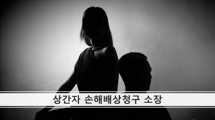  상간자(불륜·외도)에 대한 손해배상청구 소장 유명 변호사 작성 예문(강남변호사/삼성역변호사)