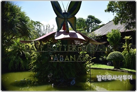  인도네시아 여행-발리 나비 공원(Bali Butterfly Park)