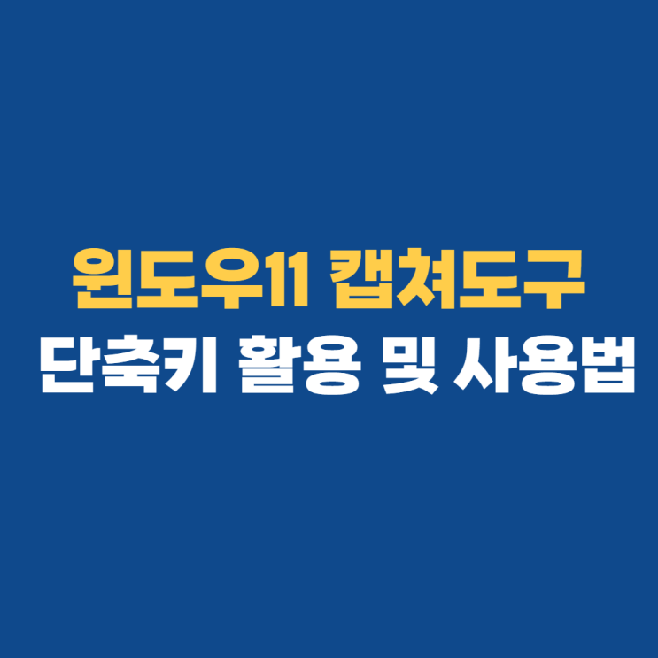 윈도우11 캡쳐도구 단축키 쉽게 사용해 보자