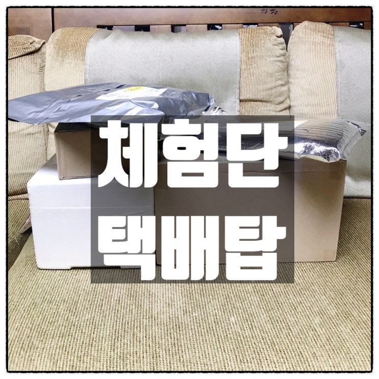 대략 정신이 아득해지는 택배탑 (부제 : 슬기로운 체험단 생활)