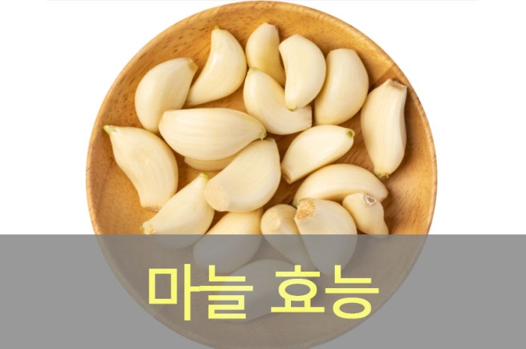  마늘, 갈릭(garlic) 영양성분, 알리신 효능