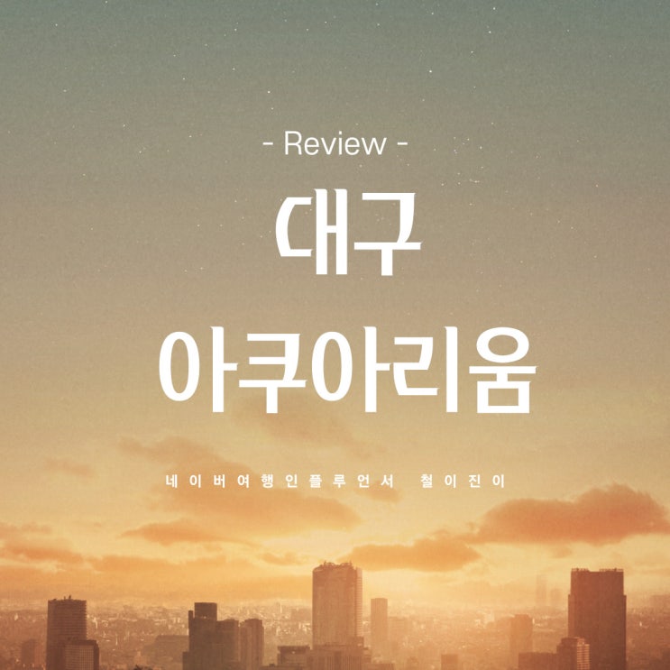  대구 가볼만한곳 동물원 데이트 코스 : 대구 아쿠아리움 실내 데이트