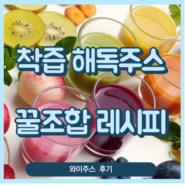  해독주스 조합 효과 착츱 주스 후기