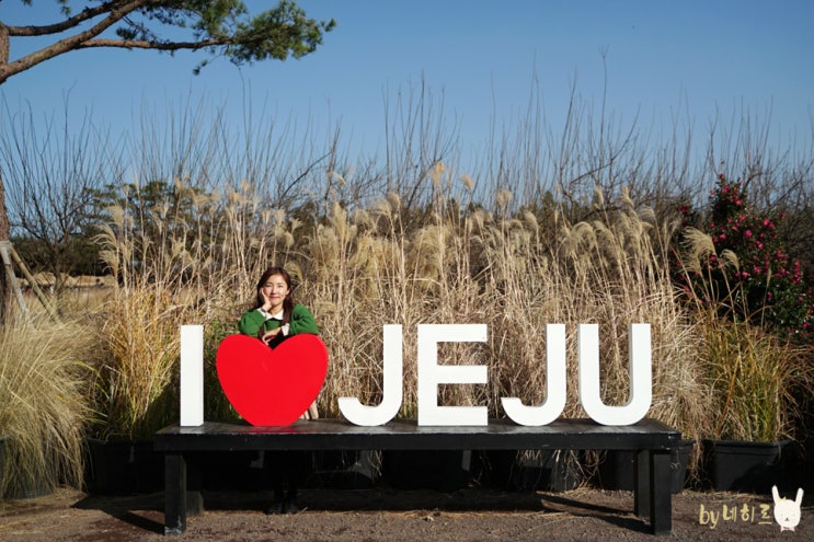  제주도 날씨 옷차림 12월 제주 겨울여행 중