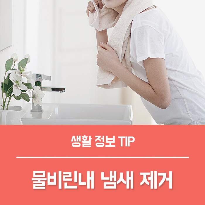  화장실 물비린내 냄새 제거 BEST 7