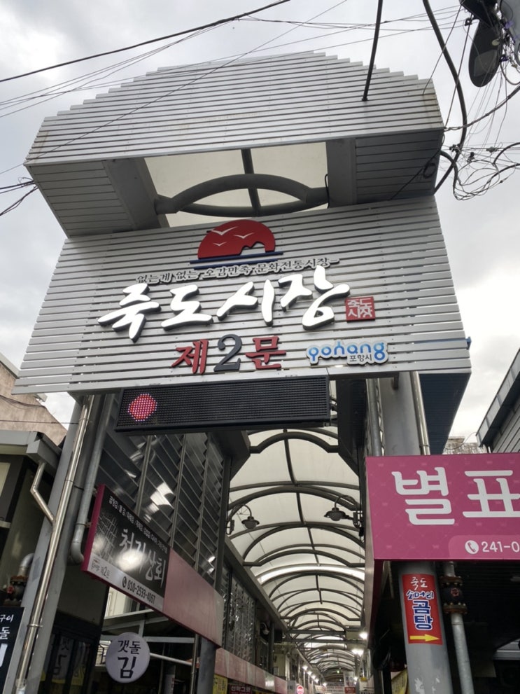  대게맛집 ) 포항 죽도시장 박달대게 사먹기 !!