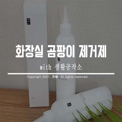  내돈내산 화장실 실리콘 곰팡이제거