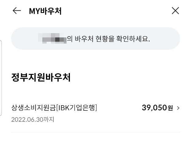  상생소비지원금 조회 캐시백 받았어요