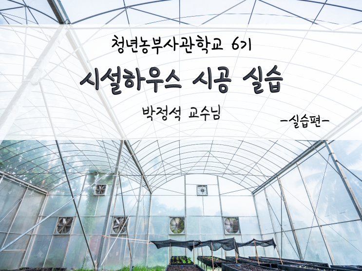  청년농부사관학교 6기_시설하우스 시공 실습(2)_211124