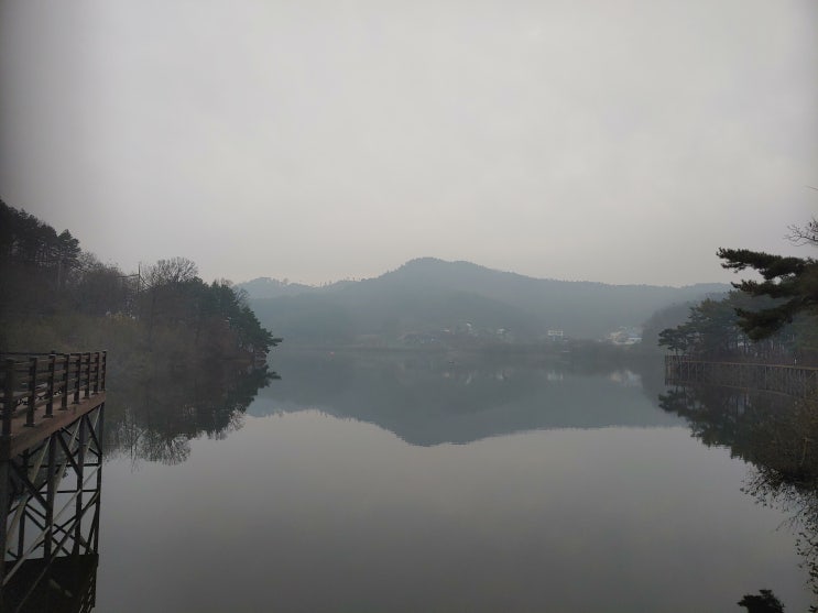 세종특별자치시 여행 (고복저수지 : 세종시 최초의 자연공원) 세종특별자치시 여행 (고복저수지 : 세종시 최초의 자연공원)