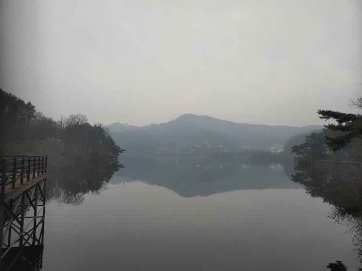 세종특별자치시 여행 (고복저수지 : 세종시 최초의 자연공원)