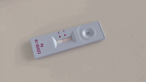  SD바이오센서 코로나19 자가진단검사 키트 : 인터넷으로 저렴하게 구매하세요
