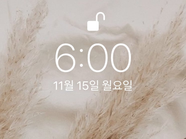  [습관만들기] 미라클 모닝 WEEK 21-22