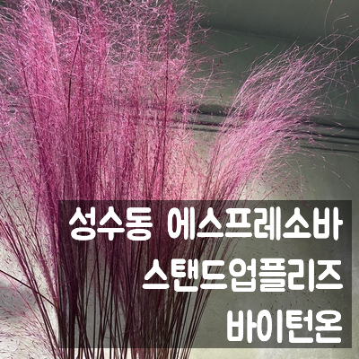  성수동 에스프레소바, 스탠드업플리즈 바이턴온
