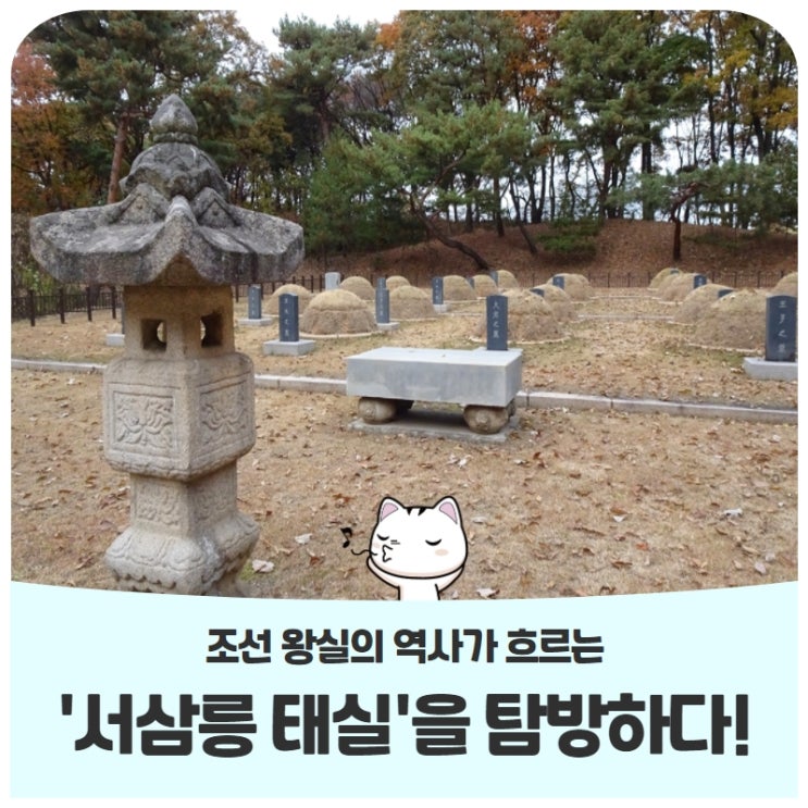 조선 왕실의 역사가 흐르는 '서삼릉 태실'을 탐방하다! 조선 왕실의 역사가 흐르는 '서삼릉 태실'을 탐방하다!