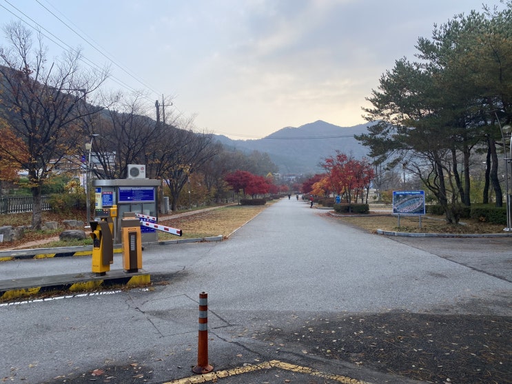  늦가을? 무등산 중머리재 다녀왔어요 (증심사 루트)