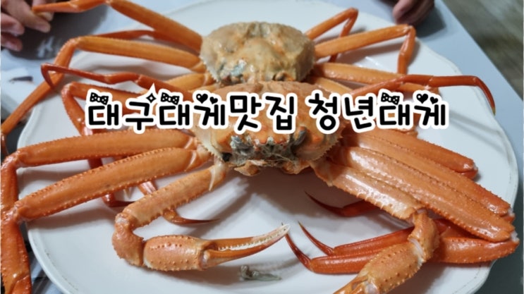 대구 대게맛집 청년대게 성서점 포장 후기