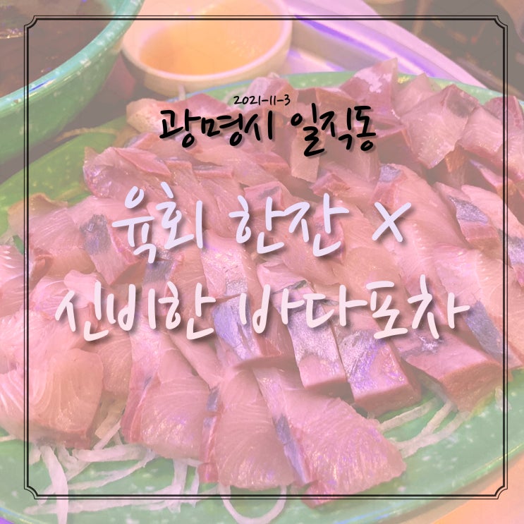  광명시 일직동 육회 한잔 X 신비한 바다포차 후기