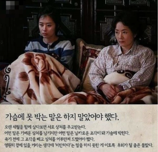부모의 가슴에 박힌 대못 수십개 부모의 가슴에 박힌 대못 수십개