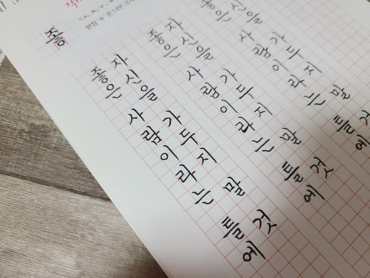펜글씨 잘쓰는 법, 연습교본 후기 : 글씨를 수놓다 펜글씨 잘쓰는 법, 연습교본 후기 : 글씨를 수놓다